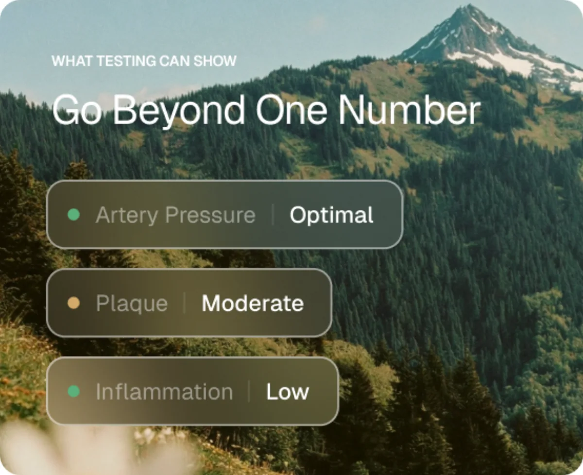 Testing preview showing artery pressure, plaque, and inflammation