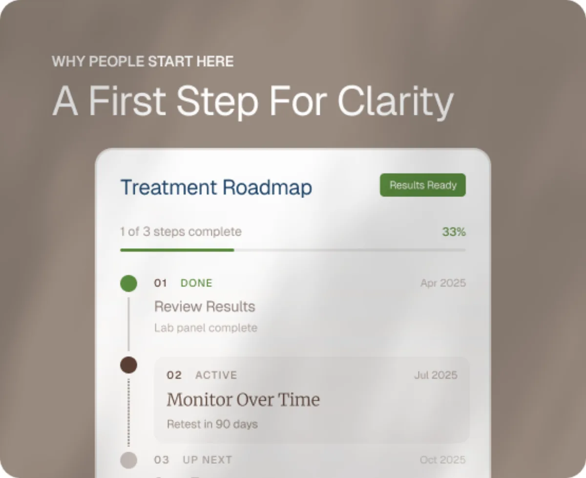 Treatment roadmap preview with progress steps